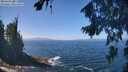 ./images/koeye/fitz-hugh/20260819/fitz-hugh20260819_124501M.jpg