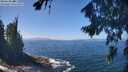 ./images/koeye/fitz-hugh/20260819/fitz-hugh20260819_125001M.jpg