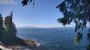 ./images/koeye/fitz-hugh/20260819/fitz-hugh20260819_125501M.jpg