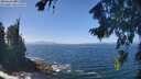 ./images/koeye/fitz-hugh/20260819/fitz-hugh20260819_130001M.jpg