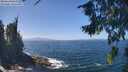 ./images/koeye/fitz-hugh/20260819/fitz-hugh20260819_131501M.jpg