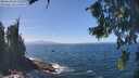 ./images/koeye/fitz-hugh/20260819/fitz-hugh20260819_133501M.jpg