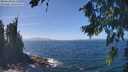 ./images/koeye/fitz-hugh/20260819/fitz-hugh20260819_134002M.jpg
