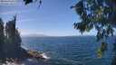 ./images/koeye/fitz-hugh/20260819/fitz-hugh20260819_134501M.jpg