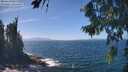 ./images/koeye/fitz-hugh/20260819/fitz-hugh20260819_135001M.jpg