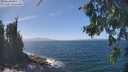 ./images/koeye/fitz-hugh/20260819/fitz-hugh20260819_135501M.jpg