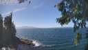 ./images/koeye/fitz-hugh/20260819/fitz-hugh20260819_140002M.jpg