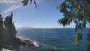 ./images/koeye/fitz-hugh/20260819/fitz-hugh20260819_140501M.jpg
