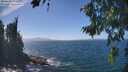 ./images/koeye/fitz-hugh/20260819/fitz-hugh20260819_141001M.jpg