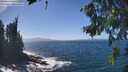 ./images/koeye/fitz-hugh/20260819/fitz-hugh20260819_141501M.jpg
