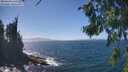 ./images/koeye/fitz-hugh/20260819/fitz-hugh20260819_142501M.jpg