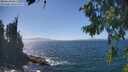 ./images/koeye/fitz-hugh/20260819/fitz-hugh20260819_143002M.jpg