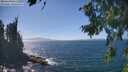 ./images/koeye/fitz-hugh/20260819/fitz-hugh20260819_143501M.jpg