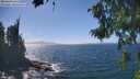 ./images/koeye/fitz-hugh/20260819/fitz-hugh20260819_144502M.jpg