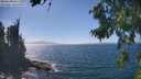 ./images/koeye/fitz-hugh/20260819/fitz-hugh20260819_145001M.jpg