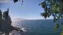 ./images/koeye/fitz-hugh/20260819/fitz-hugh20260819_145502M.jpg