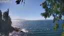 ./images/koeye/fitz-hugh/20260819/fitz-hugh20260819_150001M.jpg