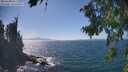 ./images/koeye/fitz-hugh/20260819/fitz-hugh20260819_150501M.jpg