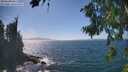 ./images/koeye/fitz-hugh/20260819/fitz-hugh20260819_151001M.jpg