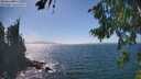 ./images/koeye/fitz-hugh/20260819/fitz-hugh20260819_151501M.jpg