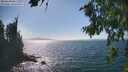 ./images/koeye/fitz-hugh/20260819/fitz-hugh20260819_154001M.jpg