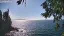 ./images/koeye/fitz-hugh/20260819/fitz-hugh20260819_154501M.jpg