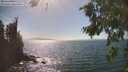 ./images/koeye/fitz-hugh/20260819/fitz-hugh20260819_155501M.jpg