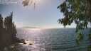 ./images/koeye/fitz-hugh/20260819/fitz-hugh20260819_161001M.jpg