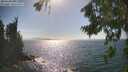 ./images/koeye/fitz-hugh/20260819/fitz-hugh20260819_163001M.jpg