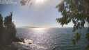 ./images/koeye/fitz-hugh/20260819/fitz-hugh20260819_163501M.jpg