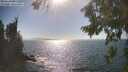 ./images/koeye/fitz-hugh/20260819/fitz-hugh20260819_164001M.jpg