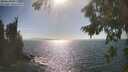 ./images/koeye/fitz-hugh/20260819/fitz-hugh20260819_164501M.jpg