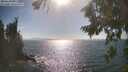 ./images/koeye/fitz-hugh/20260819/fitz-hugh20260819_165501M.jpg