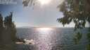 ./images/koeye/fitz-hugh/20260819/fitz-hugh20260819_170001M.jpg
