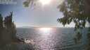 ./images/koeye/fitz-hugh/20260819/fitz-hugh20260819_170502M.jpg