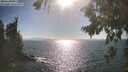 ./images/koeye/fitz-hugh/20260819/fitz-hugh20260819_171001M.jpg
