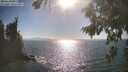 ./images/koeye/fitz-hugh/20260819/fitz-hugh20260819_171502M.jpg