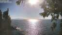 ./images/koeye/fitz-hugh/20260819/fitz-hugh20260819_172001M.jpg