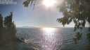 ./images/koeye/fitz-hugh/20260819/fitz-hugh20260819_172501M.jpg