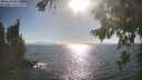 ./images/koeye/fitz-hugh/20260819/fitz-hugh20260819_173001M.jpg