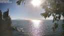./images/koeye/fitz-hugh/20260819/fitz-hugh20260819_173501M.jpg