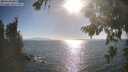 ./images/koeye/fitz-hugh/20260819/fitz-hugh20260819_174001M.jpg
