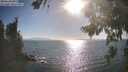 ./images/koeye/fitz-hugh/20260819/fitz-hugh20260819_174501M.jpg