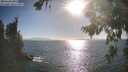 ./images/koeye/fitz-hugh/20260819/fitz-hugh20260819_175001M.jpg