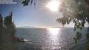 ./images/koeye/fitz-hugh/20260819/fitz-hugh20260819_175501M.jpg