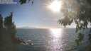 ./images/koeye/fitz-hugh/20260819/fitz-hugh20260819_180002M.jpg
