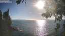 ./images/koeye/fitz-hugh/20260819/fitz-hugh20260819_180501M.jpg