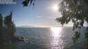 ./images/koeye/fitz-hugh/20260819/fitz-hugh20260819_181001M.jpg