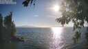 ./images/koeye/fitz-hugh/20260819/fitz-hugh20260819_181501M.jpg
