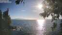 ./images/koeye/fitz-hugh/20260819/fitz-hugh20260819_182001M.jpg